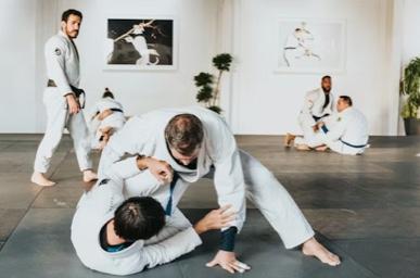 Adult BJJ Fundamentals